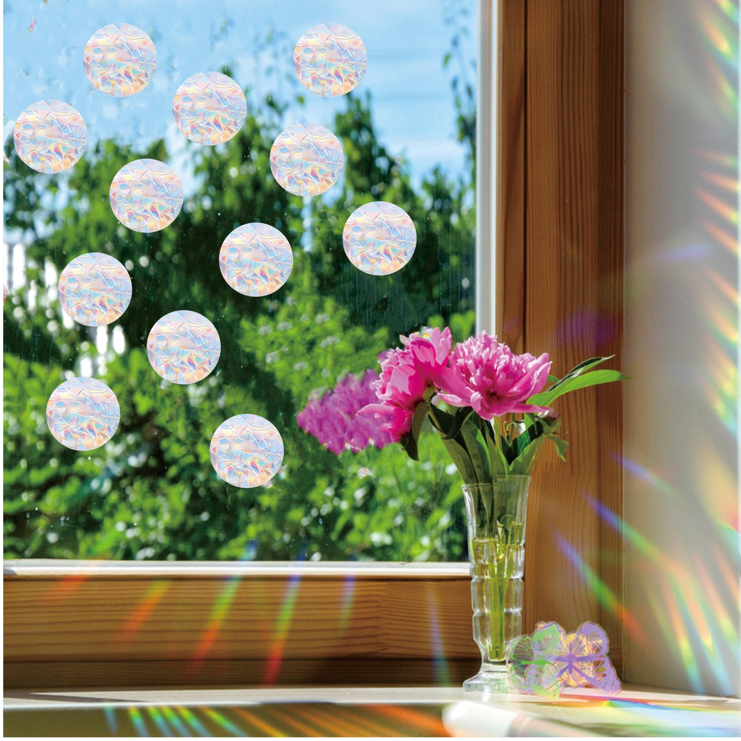 96PCS Circle Window Stickers Window Clings Anti Collision Window Decals to Save Birds from Collisions Non Adhesive Prismatic Vinyl Clings Rainbow Stickers