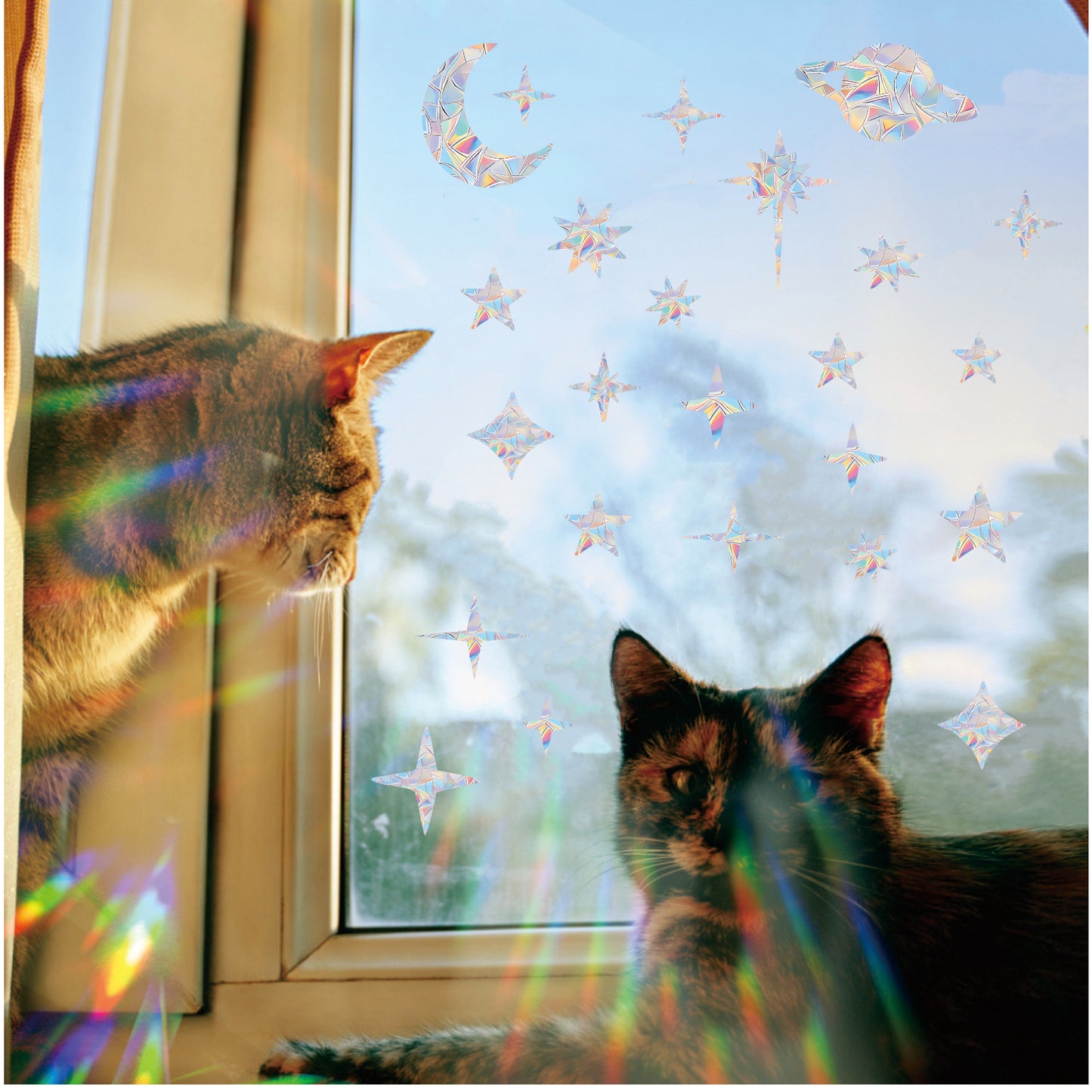 75PCS Starry Sky Window Clings Anti Collision Window Decals to Save Birds from Collisions Non Adhesive Prismatic Vinyl Rainbow Stickers